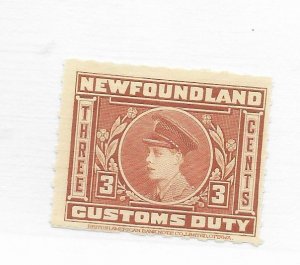 Newfoundland #NFC2 MNH - Stamp