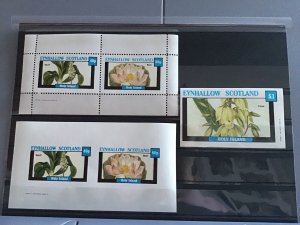 Holy Island Eynhallow Scotland Squill  Flowers plants  MNH stamps  R24139