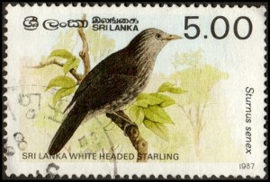 Sri Lanka 838 - Used - 5r White-headed Starling (1987) (cv $1.75) +