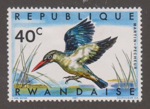 Rwanda 240 Woodland Kingfisher 1967