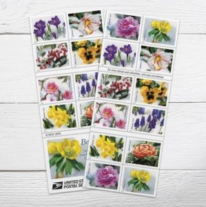 Snowy Beauty  forever stamps(1 Book of 20 pcs)