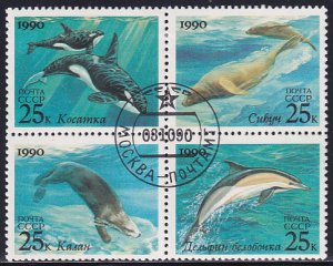 Russia 1990 Sc 5936a Killer Whales Sea Otter Sea Lions Common Dolphins Stamp CTO
