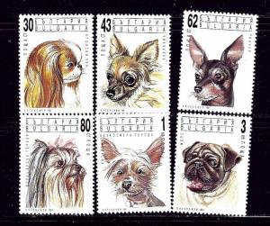 Bulgaria 3635-40 MNH 1991 Dogs