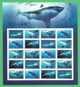 US #5227a (49c) Sharks ~ MNH