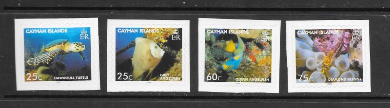 FISH - CAYMAN ISLANDS #968-71 (self adhesive)  MNH