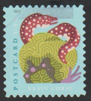 SC# 5364 - (35c) - Coral Reef: Brain & Moray eel - Used Single Off Paper