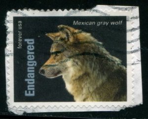 5799o US (63c) Endangered Species - Mexican Gray Wolf SA, used on paper