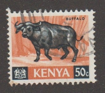 Kenya 26 Water Buffalo