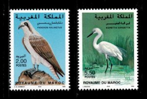 Morocco 1996 - Birds, Osprey, Egret, Fauna - Set of 2v - Scott 818-19 - MNH