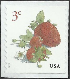 # 5201 Used Strawberries