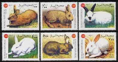 Somalia 1999 Chinese New Year - Year of the Rabbit perf s... | Africa - Somalia, Stamp / HipStamp Somalia 1999 Chinese New Year - Year of the Rabbit perf s... | Africa - Somalia, Stamp / HipStamp