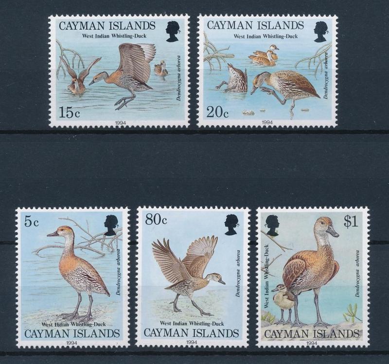 [40215] Cayman Islands 1994 Birds Vögel Oiseaux Ucelli  Ducks MNH