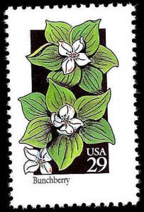 # 2675 MINT NEVER HINGED BUNCHBERRY