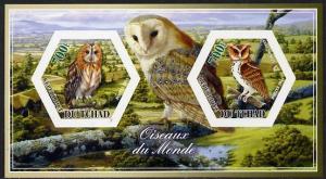 Chad 2014 Owls #1 imperf sheetlet containing two hexagona...