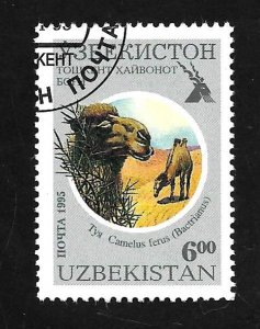 Uzbekistan 1995 - U - Scott #96