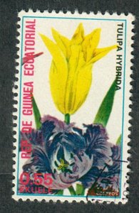 Equatorial Guinea Flower used CTO single