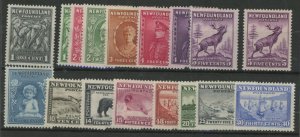 Newfoundland #183-199  Single (Complete Set)