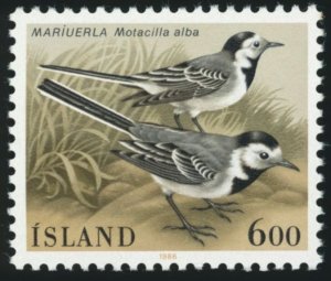 ICELAND Sc 618 F-VF/MNH - 1986 6k - Motacilla Alba Bird