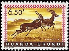 RUANDA-URUNDI   #146 MNH (3)