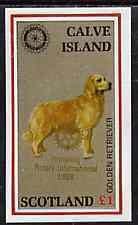 CALVE IS - 1998 - Dog, Gold o/p Rotary - Souv Sheet - M. N. H. - Local Issue