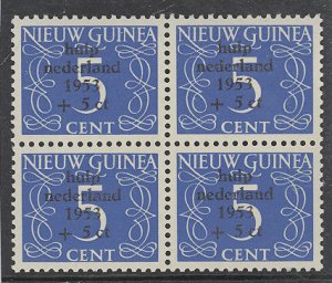 Netherlands New Guinea #B1  Multiple