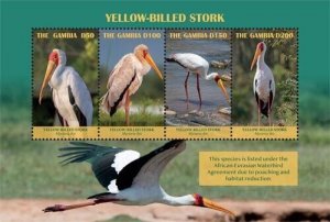 Gambia 2019 - Yellow Billed Stork - Sheet of 4 Stamps - MNH