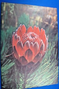 RSA (SOUTH AFRICA)  -  1977  -  THIRD DEFINITIVE SERIES (jpL7)