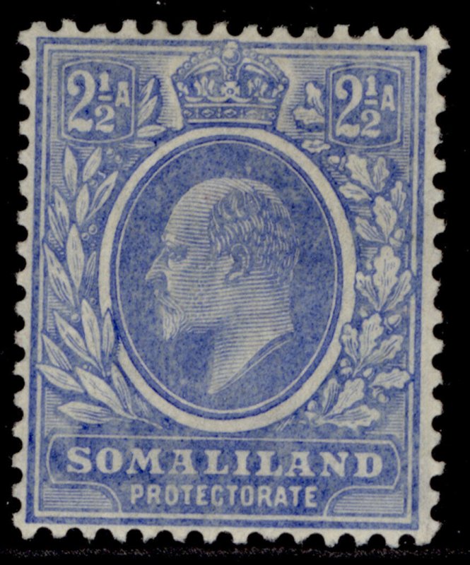 SOMALILAND PROTECTORATE EDVII SG48, 2½a bright blue, M MINT.