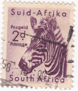 South Africa - 1954 Wild Animals Zebra- 2d used