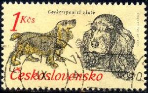 Dog, Cocker Spaniel, Czechoslovakia stamp SC#1900 Used