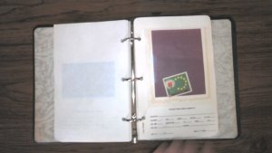 IRAN COLLECTION IN APPROVAL ALBUM, MINT/USED