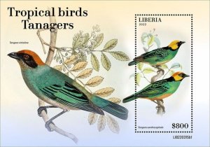 Liberia - 2022 Tropical Bird Tanager - Stamp Souvenir Sheet - LIB220315b1