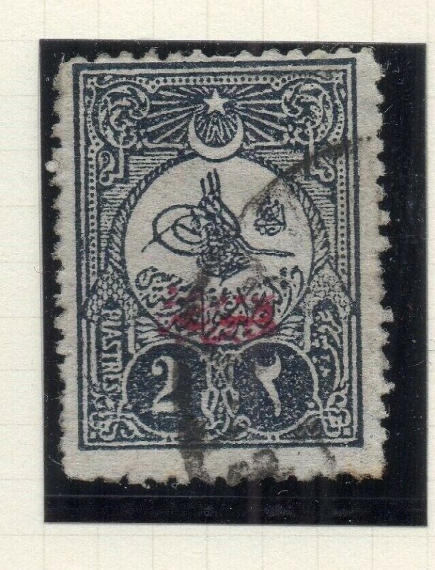 Turkey 1906 Printed Matter Issue Fine Used 2p. Optd NW-04605