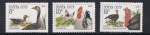 Russia   #5909-5911  MNH  1990  poultry