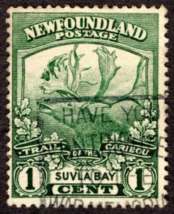 1919, Newfoundland 1c, Used, Sc 115