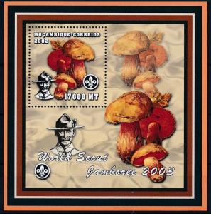 MOZAMBIQUE SHEET BADEN POWELL SCOUTS MUSHROOMS