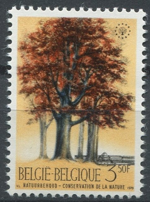Belgium Sc#737 MNH, , European Nature Conservation Year (1970)