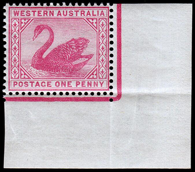 Western Australia Scott 62, Perf. 14 (1888) Mint NH VF, CV $35.00 M