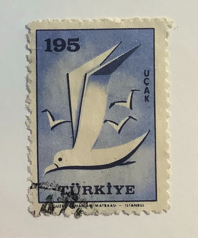 Turkey 1959 Scott C37 used - 195,  Flying birds, Gull,  Larus sp.