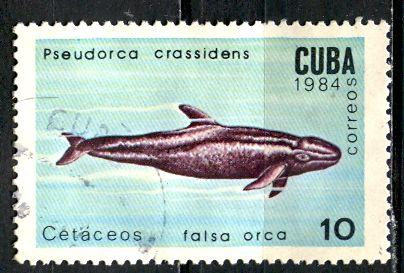 Cuba; 1984: Sc. # 2681; O/Used Single Stamp