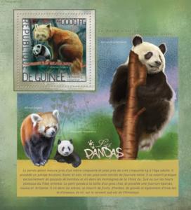 GUINEA 2014 SHEET PANDA BEARS WILDLIFE