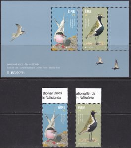 Ireland, Fauna, Birds, EUROPA MNH / 2019