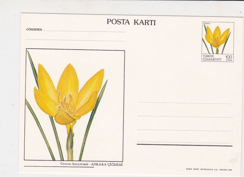 Turkey Crocus Ancyrensis bulb Yellow Flower UNUSED Stamps Card ref R 17303