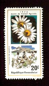 Rwanda 632 20c flower 1975 M~H (.20)