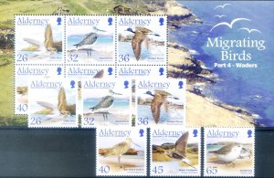 Alderney. Fauna. 2005 Migratory Pumps.