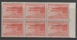 NEWFOUNDLAND SG227 1932 8c BROWNISH-RED MNH BLOCK OF 6