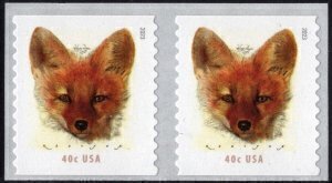 U.S.#5743 Red Fox 40c Coil Pair, MNH.