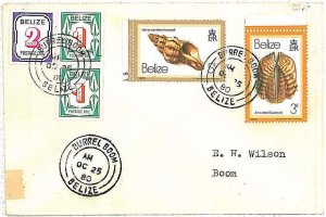 28695 - BELIZE - Postal History  REVENUE  STAMPS on COVER Burrell Boom 1980 SHEL