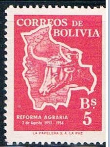 Bolivia Cattle 5 (BP3R306)