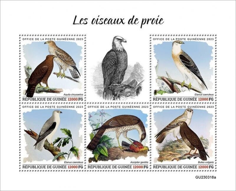 2024 04- GUINEA - BIRDS OF  PREY           5V  complet set    MNH ** T